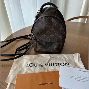 Louis Vuitton Palm Springs Mini